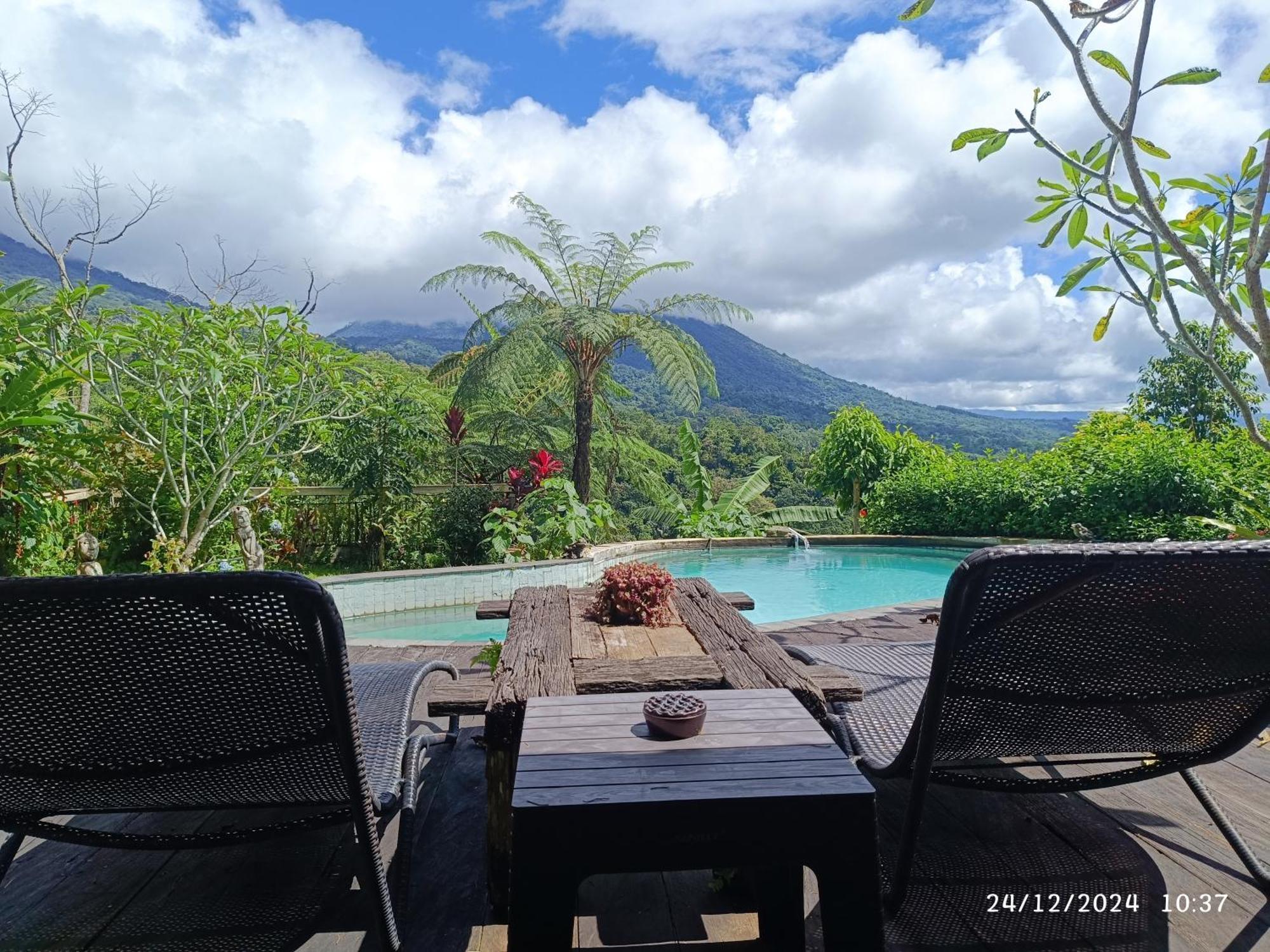 Dwan Tea Mountain Side Bed & Breakfast Jatiluwih Exterior photo