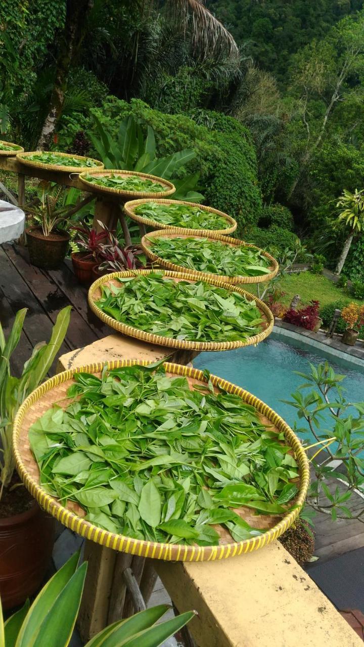 Dwan Tea Mountain Side Bed & Breakfast Jatiluwih Exterior photo